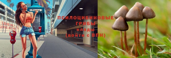 твердый Бугульма