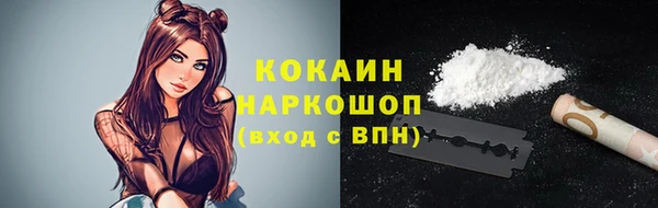 амф Бородино
