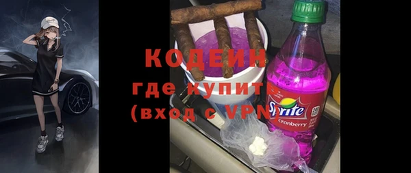 амф Бородино