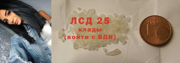 амф Бородино