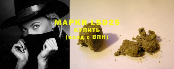 амф Бородино